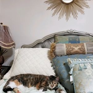 Meet your Posher, Carol